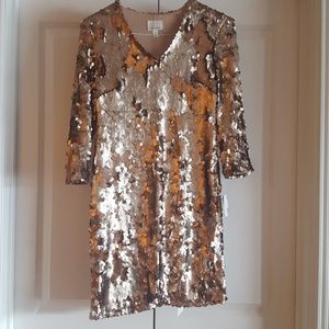Sequin Dress